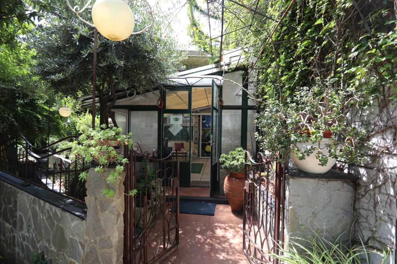 Triple Room Garden View