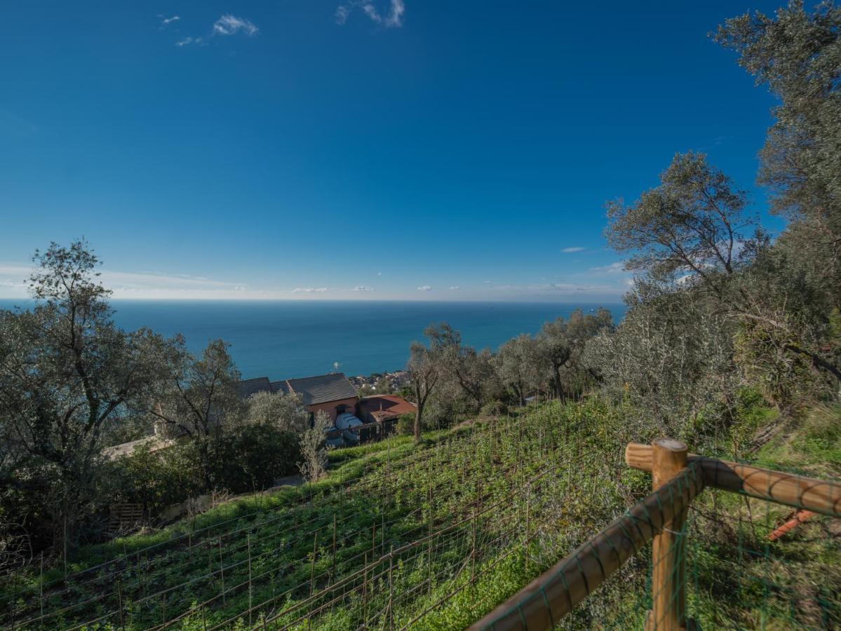 Bungalow Sea View