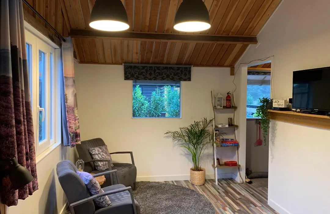 Veluwse Bos en Heide Studio-1