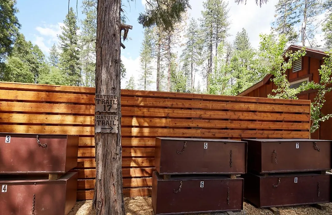 Evergreen Lodge At Yosemite-1
