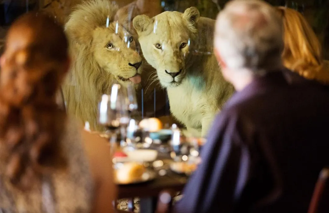Jamala Wildlife Lodge-1