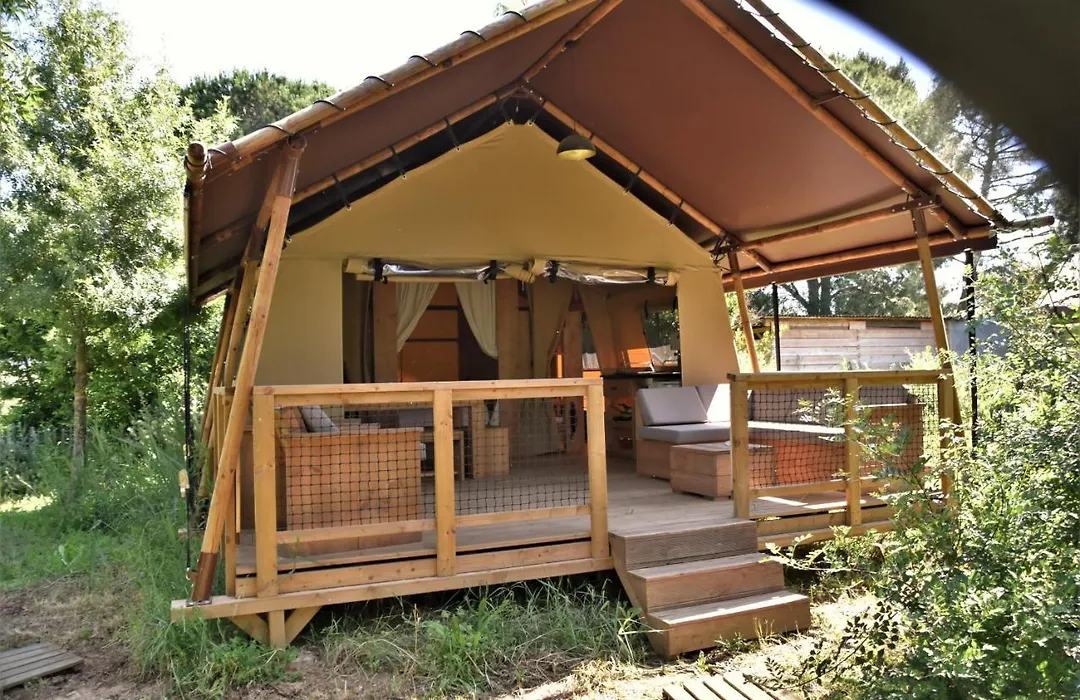 Analaya-1