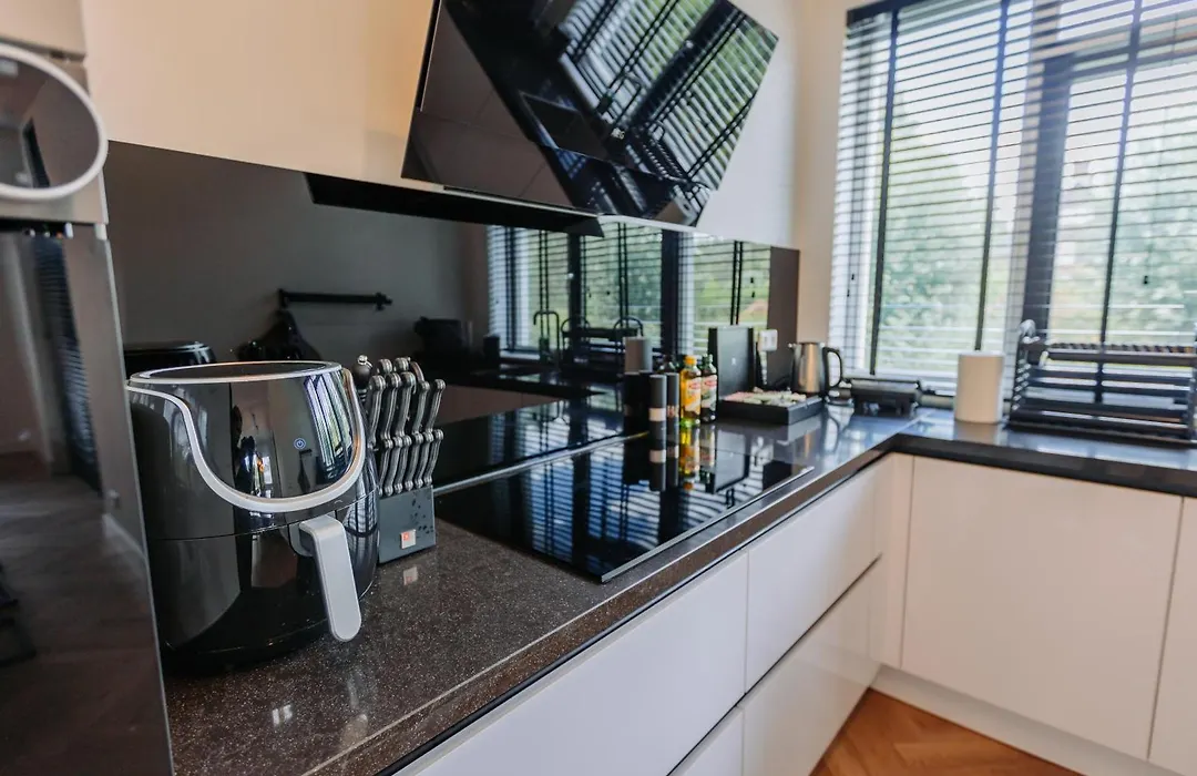 Brand New Bright Luxurious Villa In Amsterdam!-1