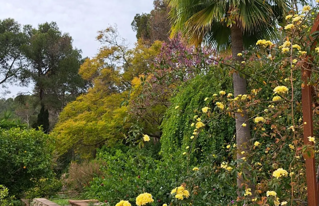 Casa De Las Vistas-1