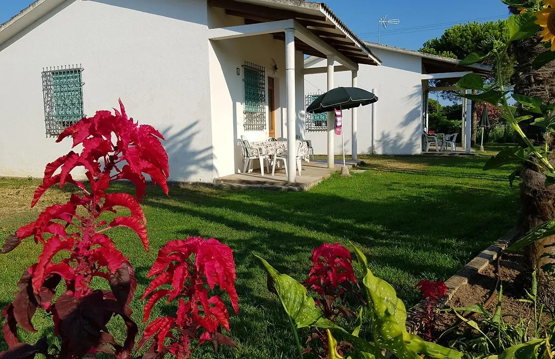 Bungalow Bei Emma-1