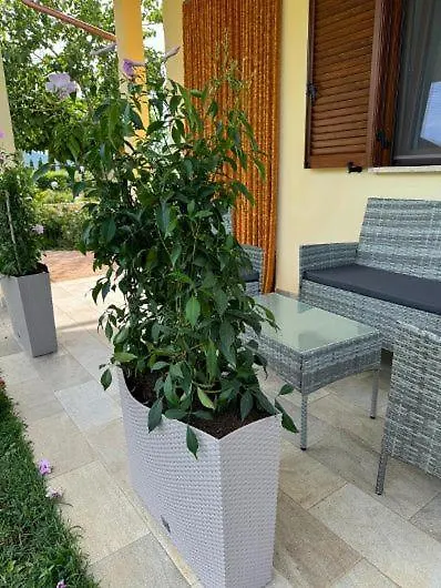 Agriturismo il Portico-1