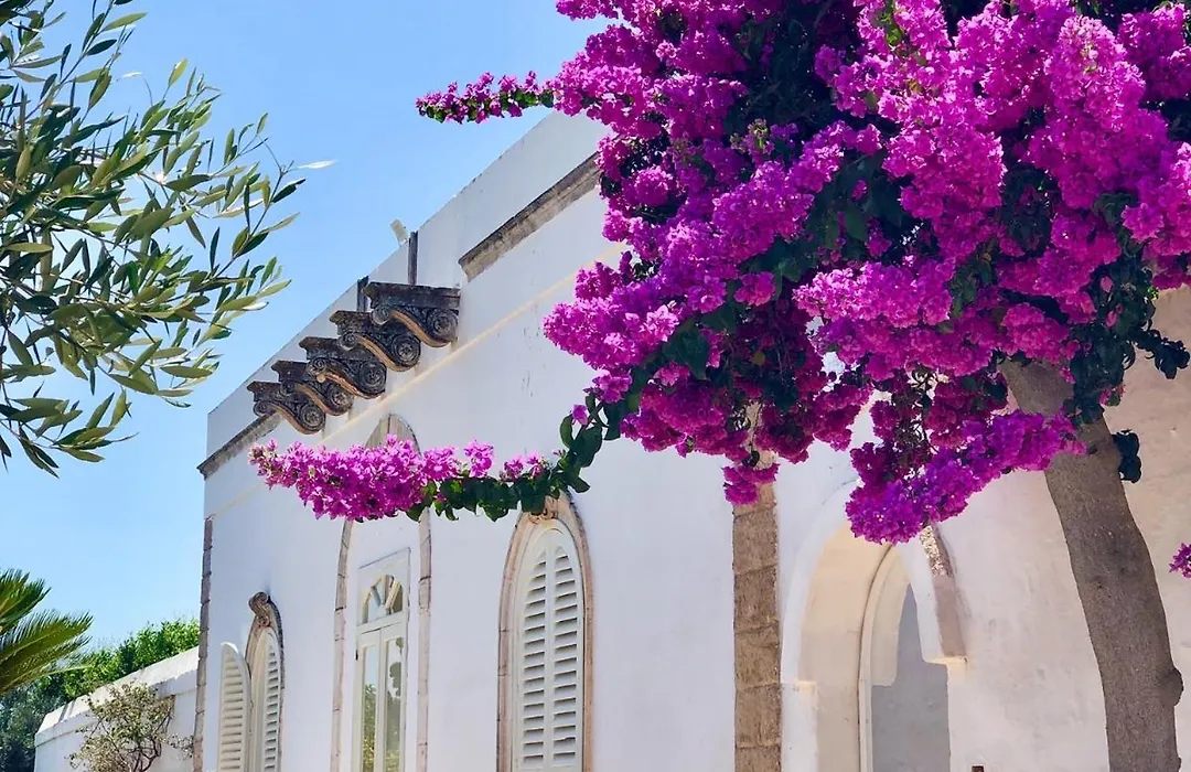 Masseria Rienzo-1