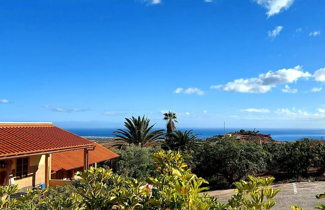 The Black Horse Canarias - Adults Only-1