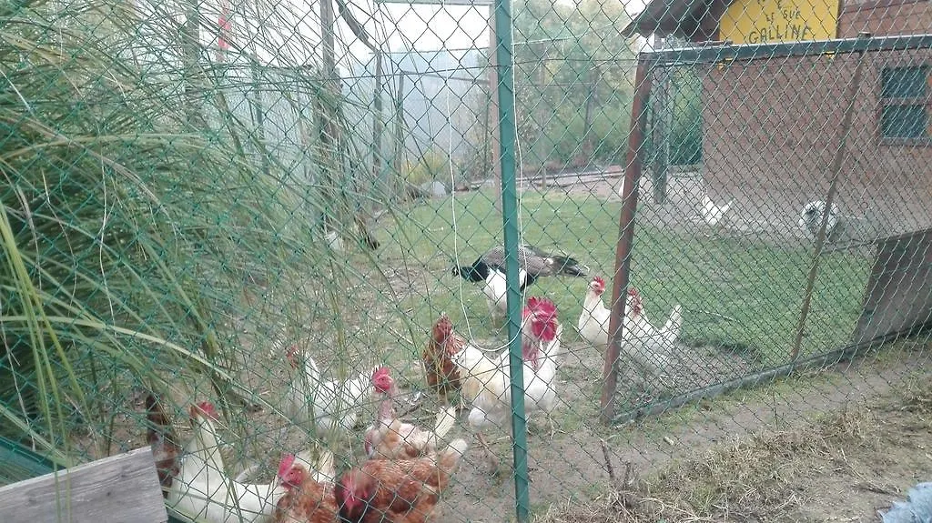 Tenuta La Violina-1