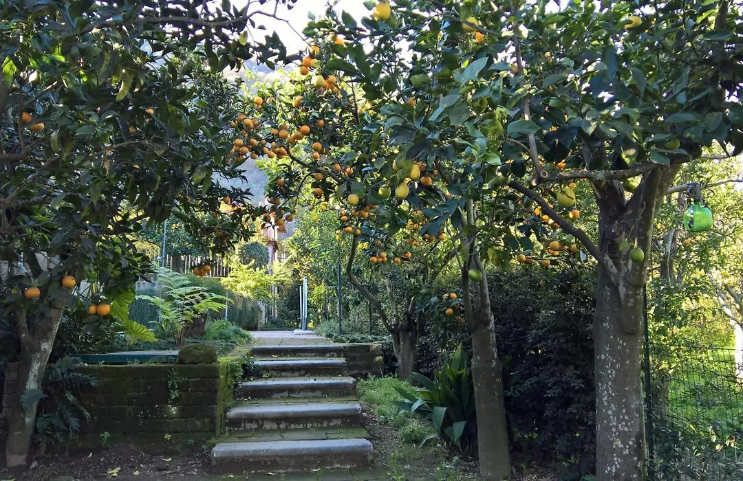 Villa Flavia-1