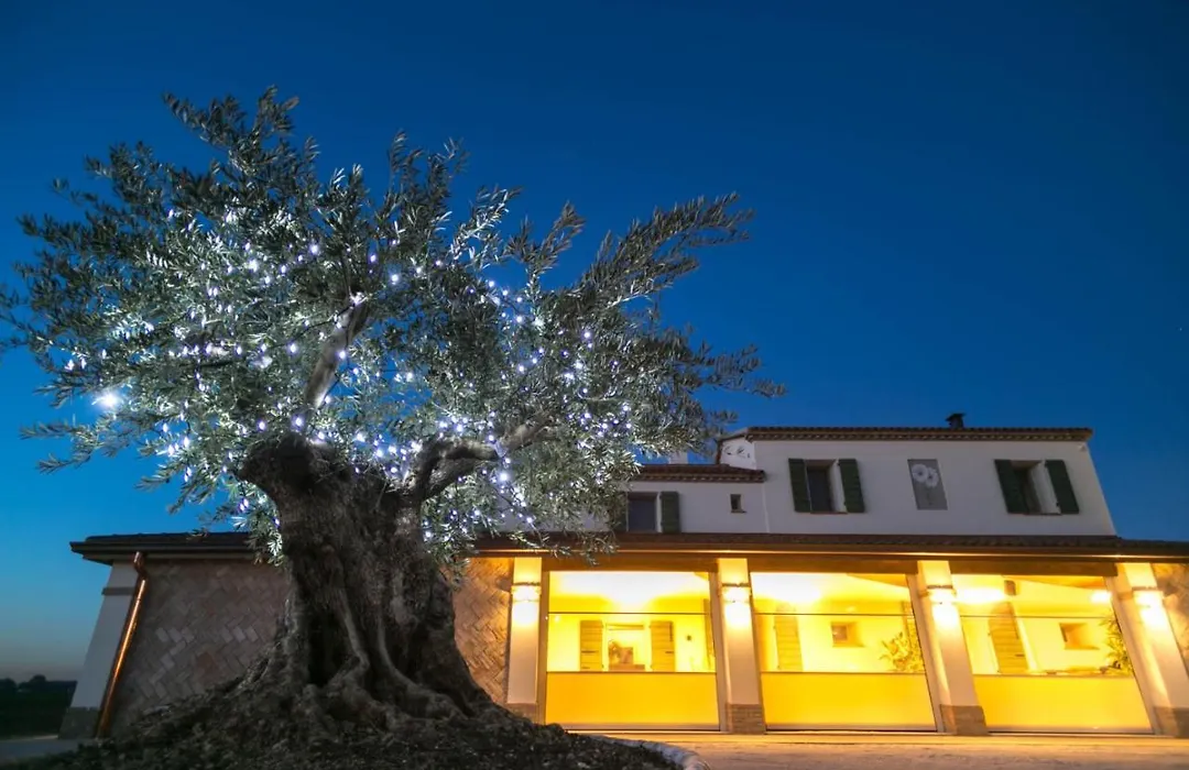 Agriturismo Le margherite-1