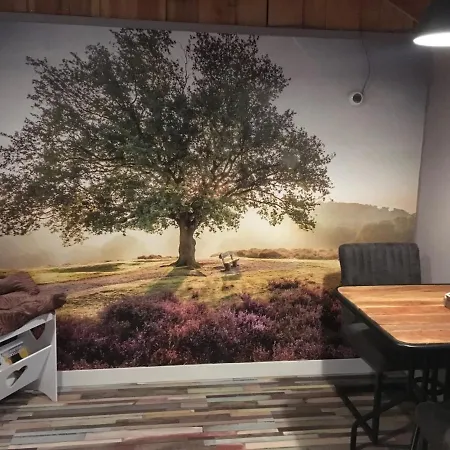 Veluwse Bos en Heide Studio-3