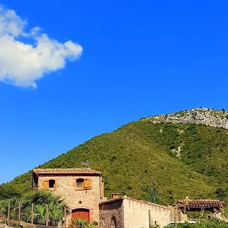 Corral D'En Romagosa-3