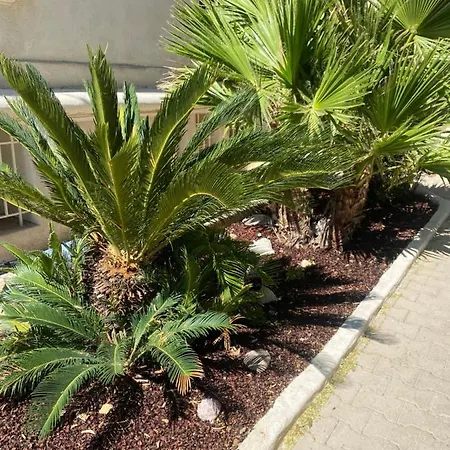 Casa Cacao près plage et vélodrome-2