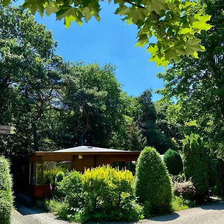 Boslaanhuisje-3