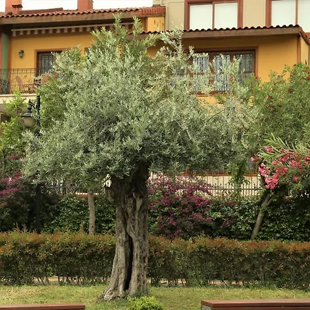 Villa Emel-3
