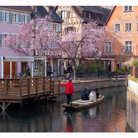 Maison Avec Terrasse Colmar Centre-Cottage Garden Terrace Center Old Town Colmar-2
