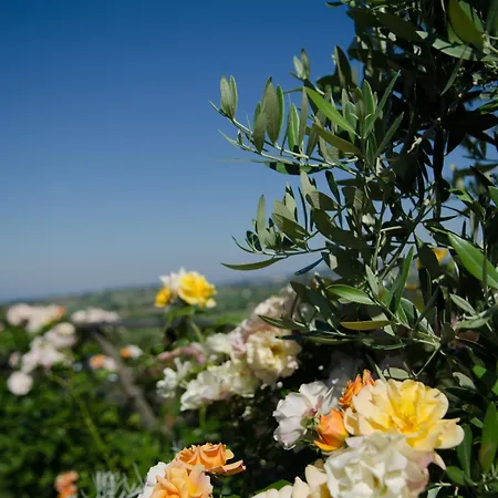 Agriturismo Al Crepuscolo-3