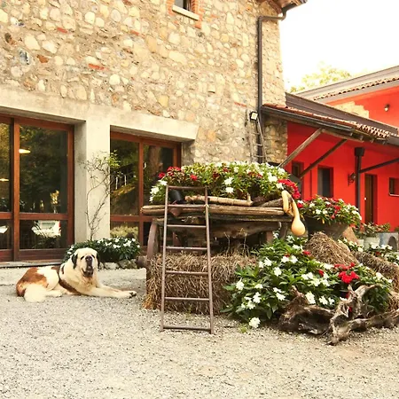 Agriturismo Cascina Mirandola-3