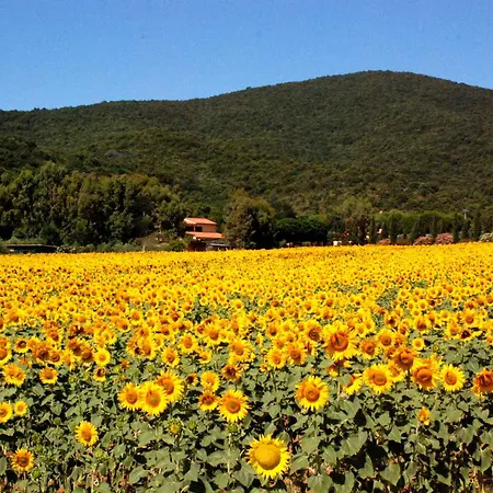 Podere Valborgina-3