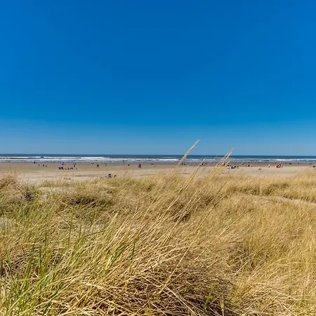 Sand & Sea: Pacific View-3