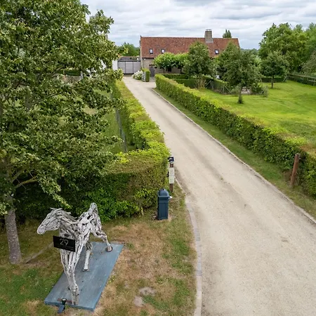 Hoeve De Zuidhoek-2