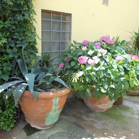 Agriturismo Le Macine-3