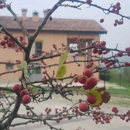 Agriturismo Ben Ti Voglio-3