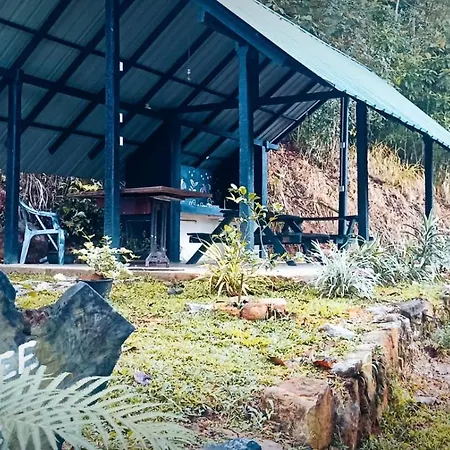 Little Wood Villa And Retreats Doluwa-3
