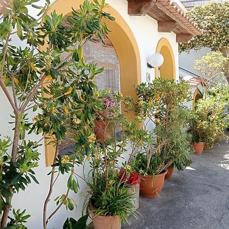 Casa Pitosforo Casa Ulivo-3