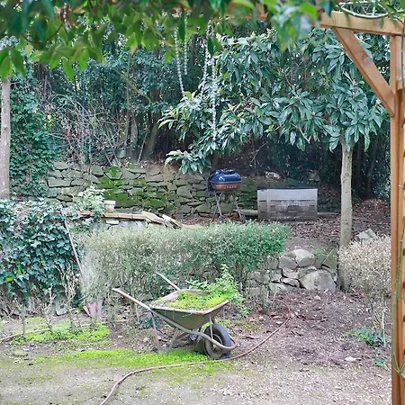 Sweet Garden Villa Dei Gelsomini-3