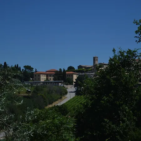 Cardinal Girolamo-2