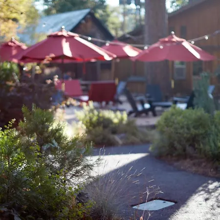 Evergreen Lodge At Yosemite-3