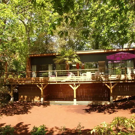 Oasis-2