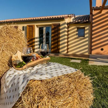 Tenuta Petra Bianca-3