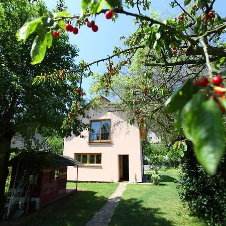 Cottage In Prague-3