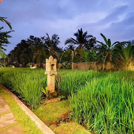 Villa Nini-2