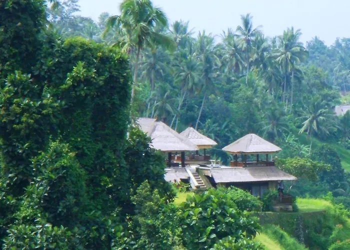 Pet Friendly hotel: Villa Santai