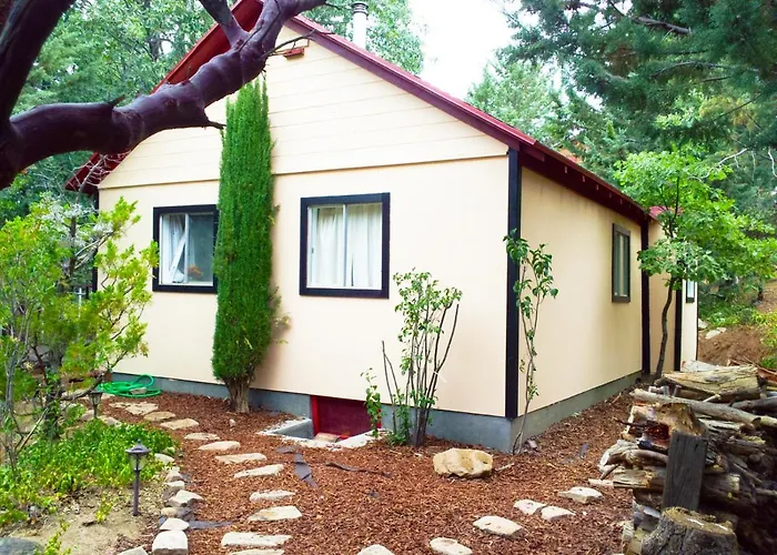 Time Traveler Retreat