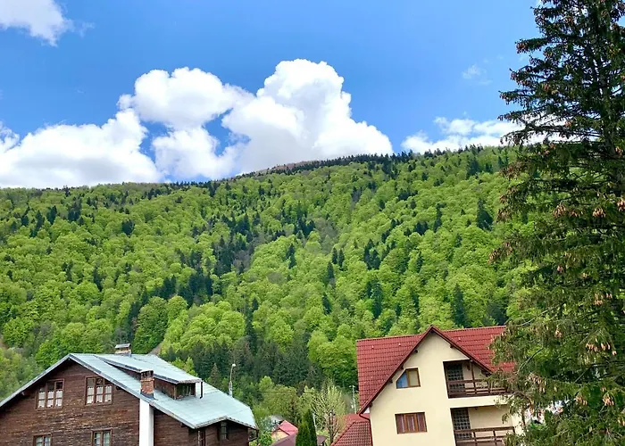 Holiday Home In Sinaia