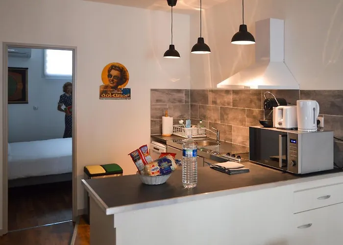 Hôtel accueillant les animaux: Les Appartements du Palais