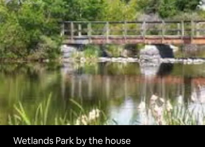 4 Bedroom 4 Bathroom 2 Kitchen House In Bridlewood