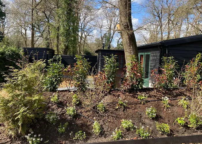 De Veluwse bos Lodge
