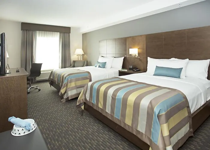 Cheap hotel: Wingate By Wyndham Calgary Airport