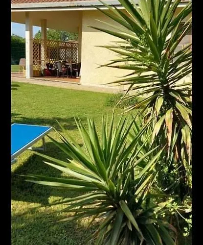 Green Garden