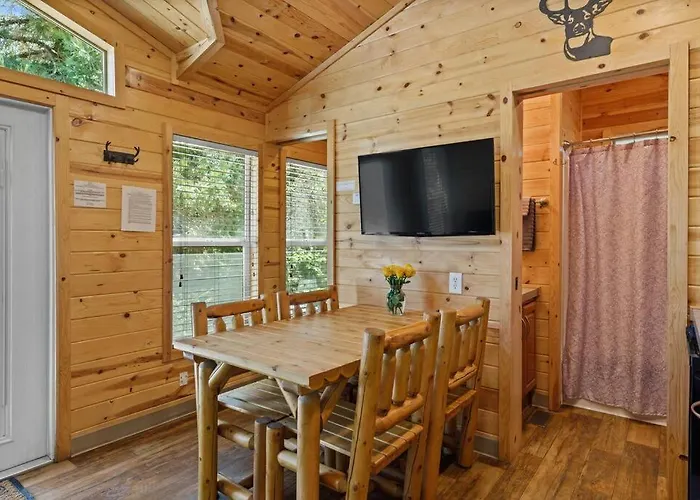 Adorable Little Cabin #21