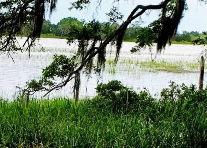 The Offbeat Oasis By The Marsh With Hunting Island Beach Pass