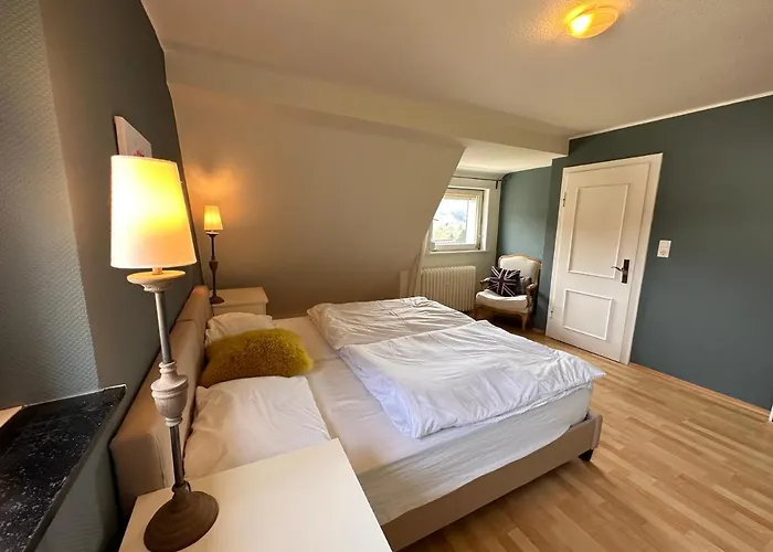 Villa Waldhaus Willingen Sauerland - Charming Villa Near Forest For 12 Guests With Huge Garden - Nearby Winter Sports Area With Ski Slope - Hiking And Nature