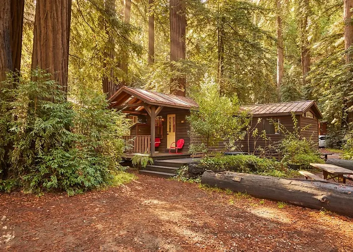Big Sur Campground And Cabins