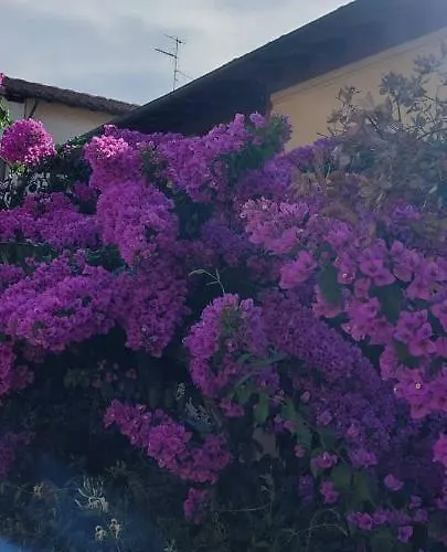 Casa Fiorita